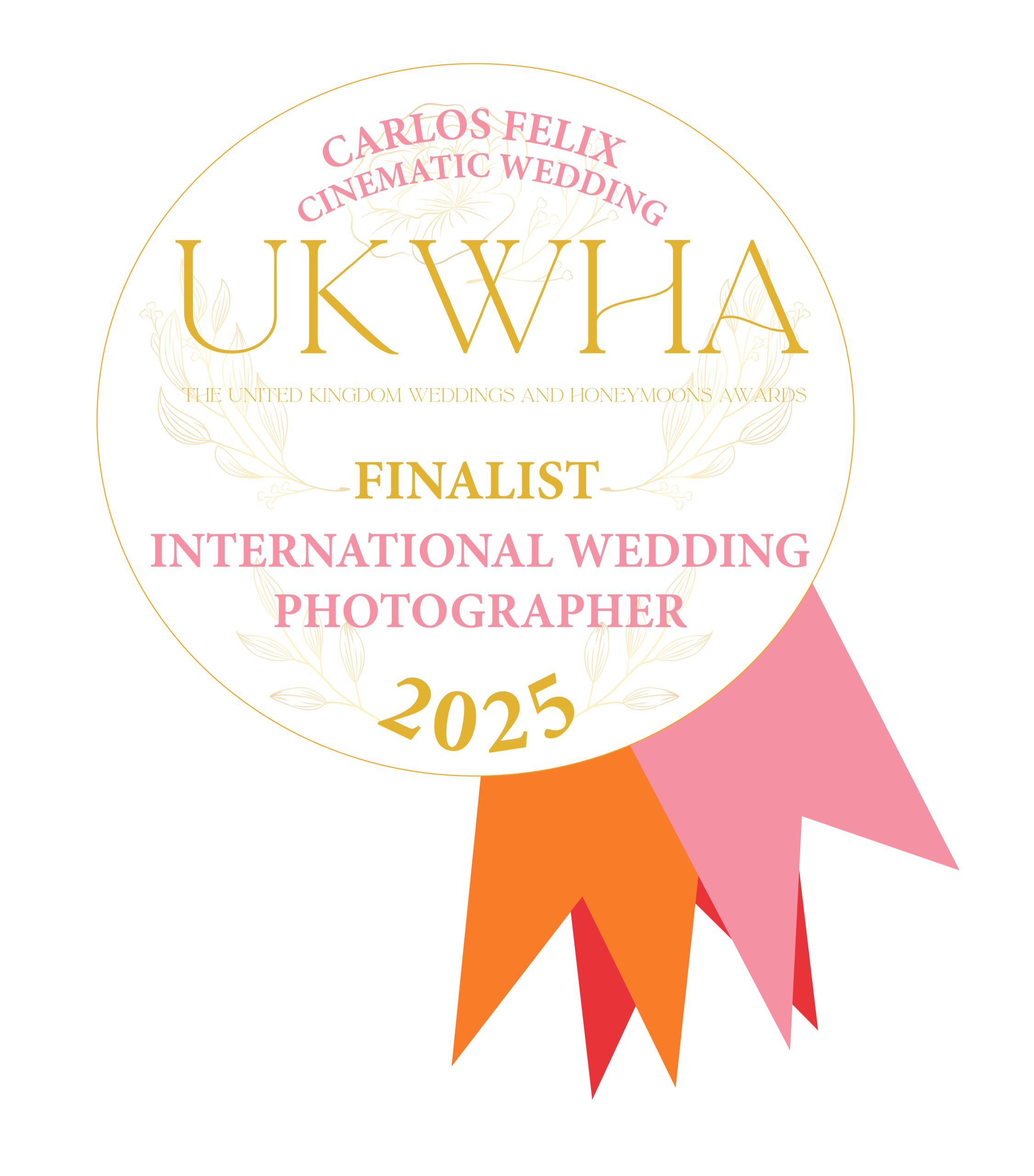 Nominado mejor videgorago